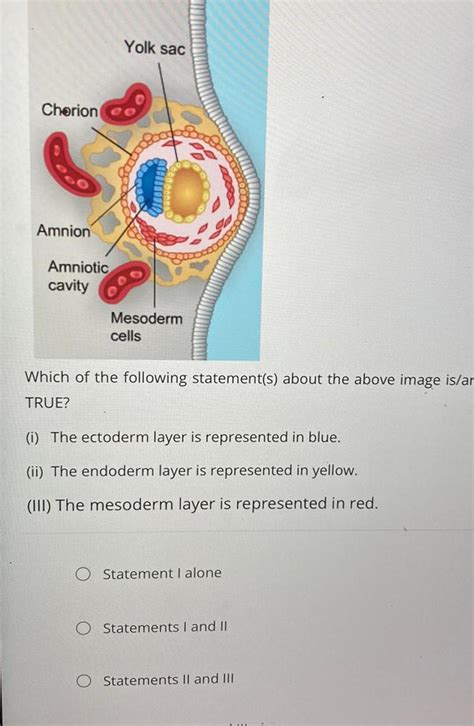 [ANSWERED] Chorion 90 Amnion Amniotic cavity Yolk sac Mesoderm cells ...