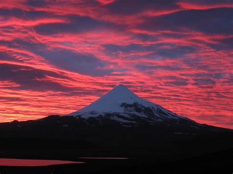 Aleutian Islands Guide Service – Brown Bear Hunts