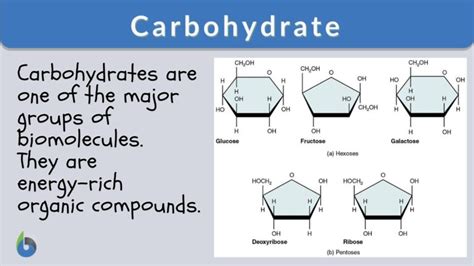 Sugar - Definition and Examples - Biology Online Dictionary