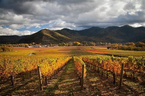 5 must-see vineyards around Oregon's Rogue Valley | Oregon wineries ...