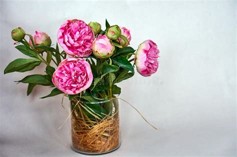 Pink Peonies in Glass Vase with Decorative Hay Inside. Bouquet with Flowers. Stock Image - Image ...