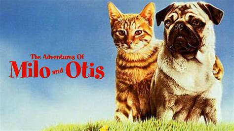 The Adventures of Milo and Otis (1986) - AZ Movies