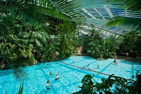 Center Parcs Longleat Forest holidaymaker says resort 'quiet' after ...