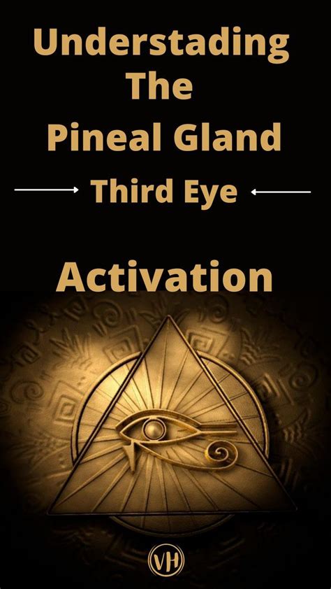 UNDERSTANDING THE PINEAL GLAND & 2 USEFUL STEPS TO HELP ACTIVATE THE ...