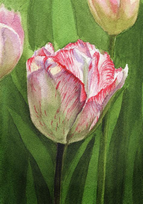 Gorgeous Tulip Watercolor Realism Painting by Irina Sztukowski