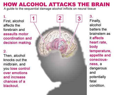 How the Weekend can Effect your Brain | SiOWfa14 Science in Our World: Certainty and Cont