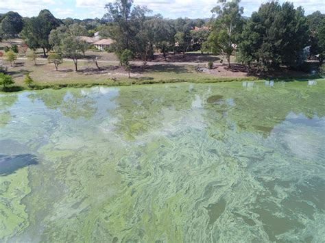 A quarter century of water woes: why can't we fix Lake Tuggeranong's ...