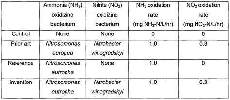 WO2006044499A2 - Consortium of nitrifying bacteria - Google Patents