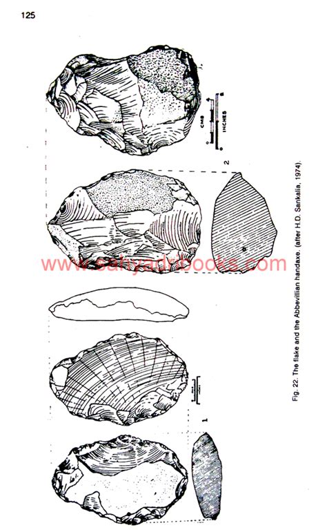 Stone Age India By S. A. Sali - Buy Archaeology Books Online At Sahyadri Books, Paleolithic ...