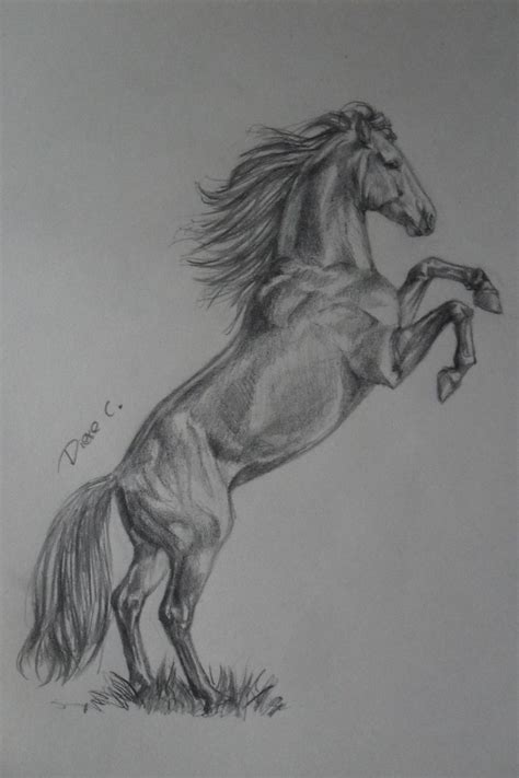 horse drawings by WhySoWhite on deviantART | Horse art drawing, Animal ...