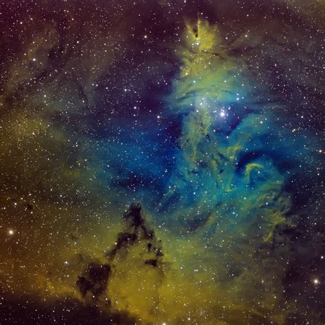 Christmas Tree Cluster and Cone Nebula (Hubble Palette) | Flickr