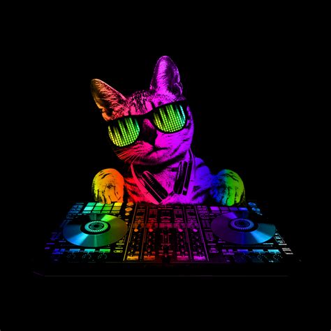 Cool Cat Dj | clingcling's artist shop | Cat art illustration, Dj art, Cat posters