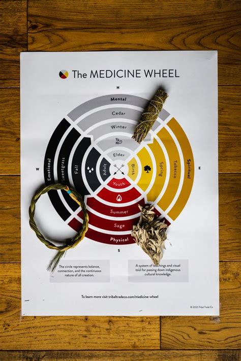 The indigenous medicine wheel ⚫️⚪️🟡🔴(NATIVE Medicine Wheel EXPLAINED!) | Medicine wheel, Native ...