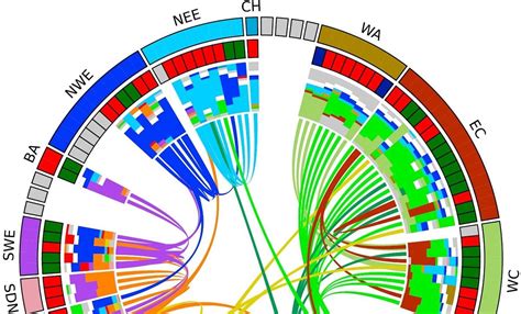 Genetic history maps centuries of European migration | University of ...