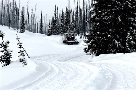 Snow Report March 8, 2019 — Great Northern Snowcat Skiing