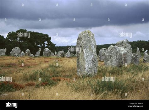 Alignment of standing stones at Carnac in Brittany Stock Photo - Alamy