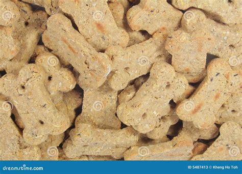 Cute Dog Snacks Shaped into a Bone Stock Image - Image of biscuits, canine: 5487413