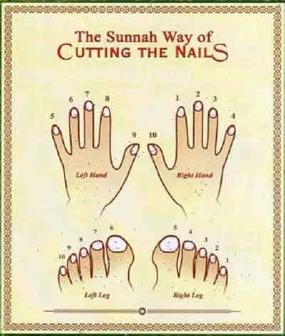 Sunnah Of Cutting Nails and What Modern Science Says - My Islam