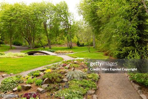 24 Akureyri Botanical Garden Stock Photos, High-Res Pictures, and ...