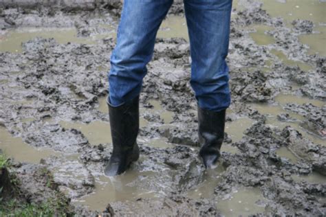 Stuck In The Mud Stock Photo - Download Image Now - iStock