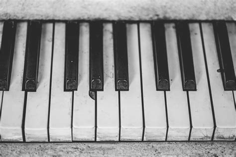 White Piano Keyboard · Free Stock Photo