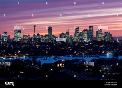 Sydney city skyline at sunset dusk twilight night with Rose Bay in foreground Eastern Suburbs ...