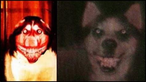 Who's Smile Dog? - The Scary Story Behind The Creepypasta - Mundo Seriex
