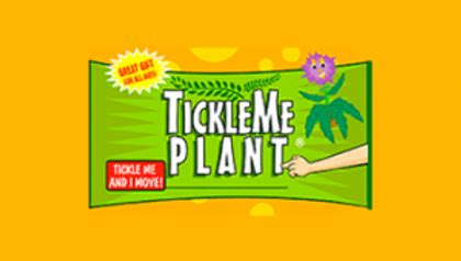 Tickle Me Plant