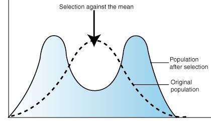 SparkNotes: Natural Selection: Types of Natural Selection