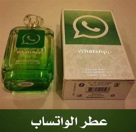 Whatsapp perfume : r/shitposting