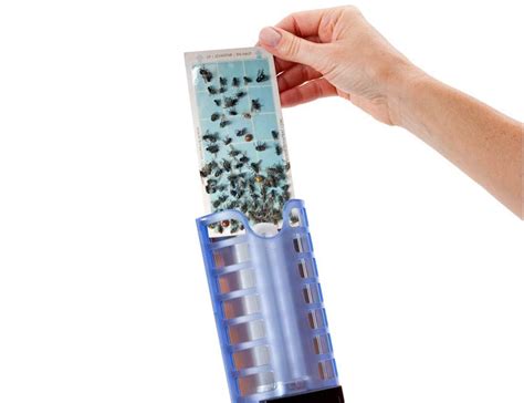 This indoor insect trap gets rid of any pesky flies in your house