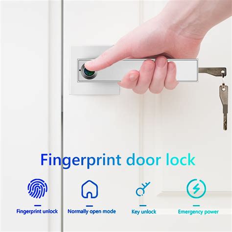 Electronic Smart Lock Semiconductor Biological Fingerprint Handle Lock with Keys – www ...