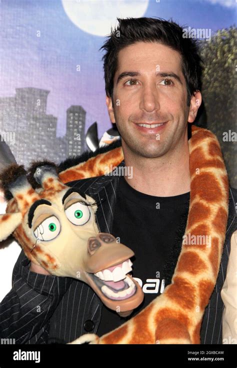 David Schwimmer at the Madagascar photocall held at the Mandarin Hotel ...