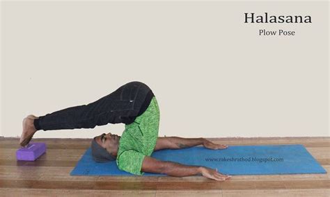 Halasana. Improves the tone and strength of back muscles and spinal cord. #halasana #yogaever ...