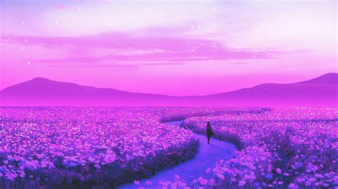 «lavender» HD wallpapers