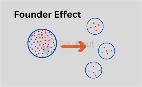 What Is Genetic Drift?-Definition, Cases, and Examples | Founder Effect | Bottleneck Effect