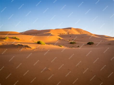 Free Photo | Sahara desert under the sunlight and a blue sky in morocco ...