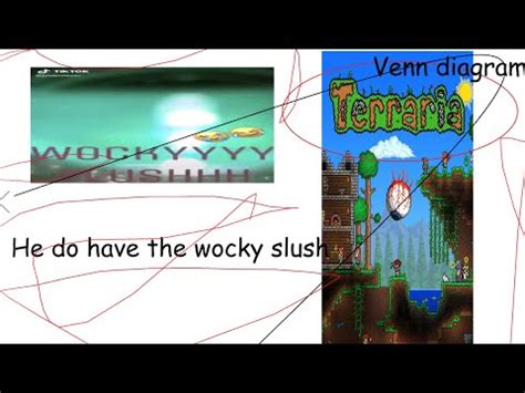 Wocky Slush Terraria Moments | Wocky Slush | Know Your Meme