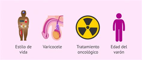 Teratozoospermia: causas, diagnóstico y tratamiento