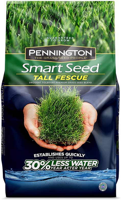 Best Grass for Dogs [2024] Top Dog-Friendly Grass Seed [Reviews]