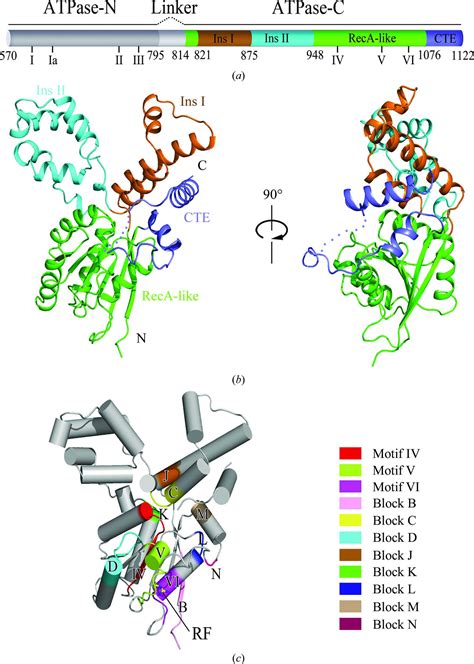 (IUCr) Crystal structure of the ATPase-C domain of the chromatin remodeller Fun30 from ...