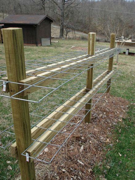 10+ Best Cattle Panel Fence ideas | cattle panels, cattle panel fence ...