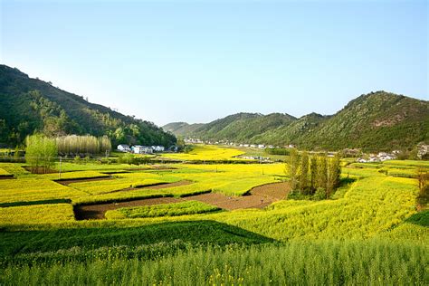 农田 田园 风景