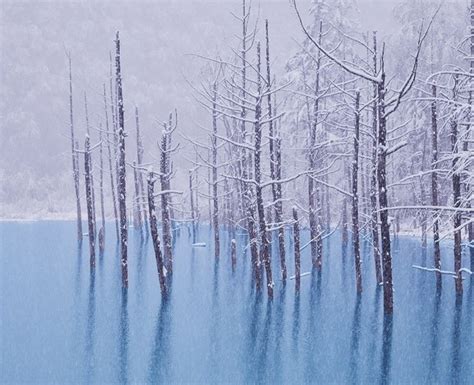 The "Blue Pond" in Biei, its seasonal vistas, and how to get there