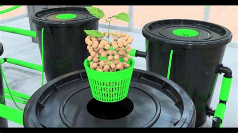 Best DWC Hydroponic System (Deep Water Culture) [2024 Reviews]