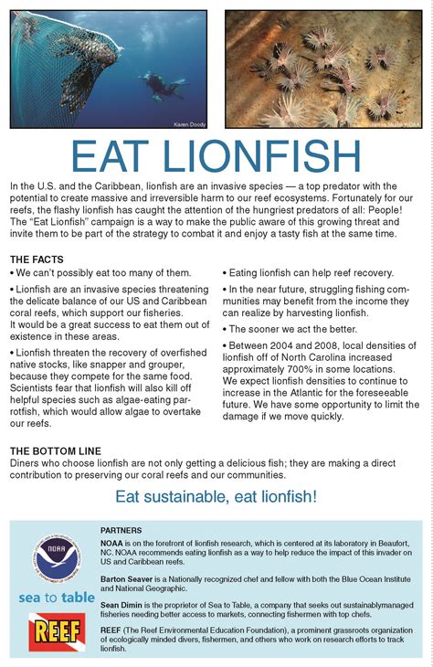 The Invasive Lionfish