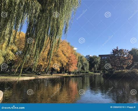 Boston Public Garden with Historic Bridge in Fall Season. Stock Photo ...