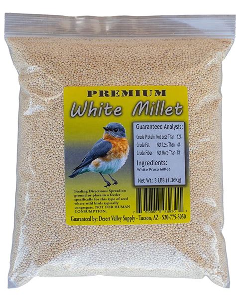 10 Best Bird Seed White Millet: Top Picks for Healthy Feathers - Hummingbirds Plus