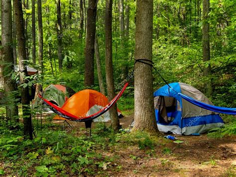 Camping In The Woods — Stock Photo © duckeesue #11270724