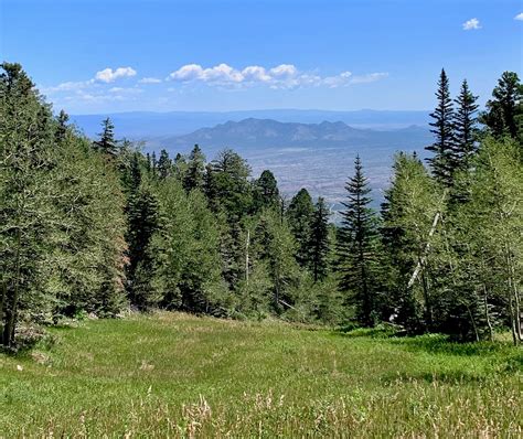 Zabeth's Hiking Blog: Challenge Trail, Sandia Mountains, NM 8/30/20